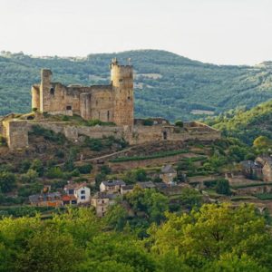 Vue panoramique sur le château de Najac en Aveyron, perché sur une colline entourée de nature et de maisons pittoresques.